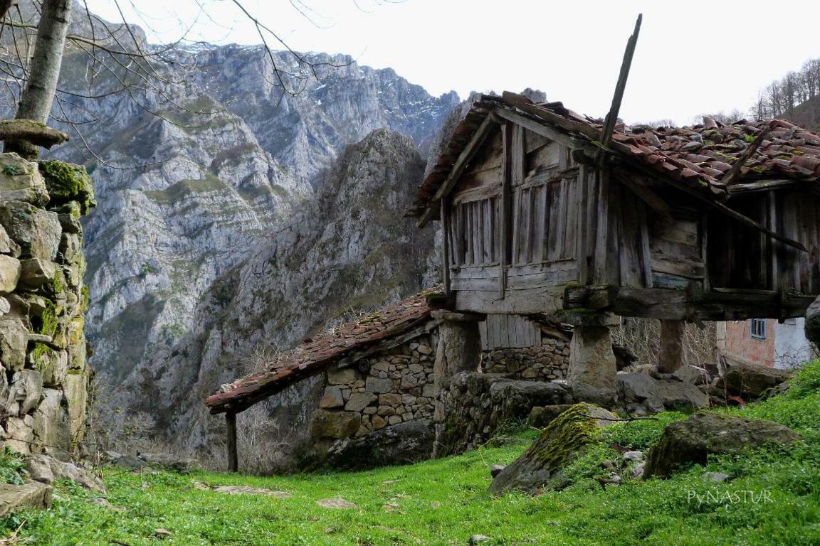 La Nana Del Mar / The Lullaby Of The Sea On Old Harbour Cudillero Exterior foto